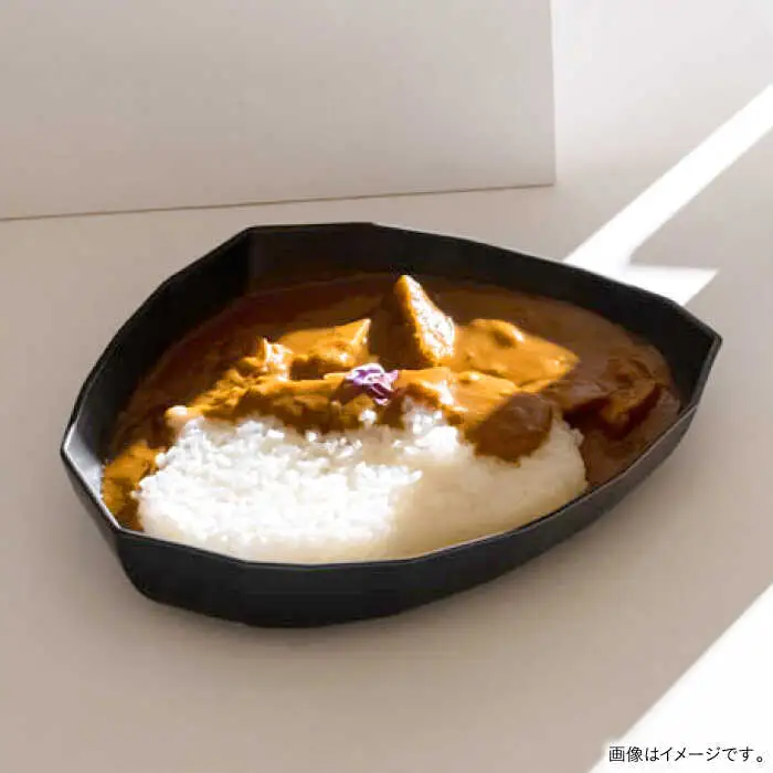 【美濃焼】 カレーザラ 2点セット ホワイト KYOTOH CURRY ZARA  カクカク 多治見市 / 京陶窯業 カレー皿 プレート[TCO056]