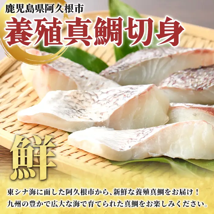 養殖真鯛切身(約2kg) 鹿児島県 阿久根市 たい タイ 真鯛 魚貝 魚介 海産物 切身 切り身 煮物 煮つけ 焼き魚 おかず おつまみ 小分け 【さるがく水産】akn028-47