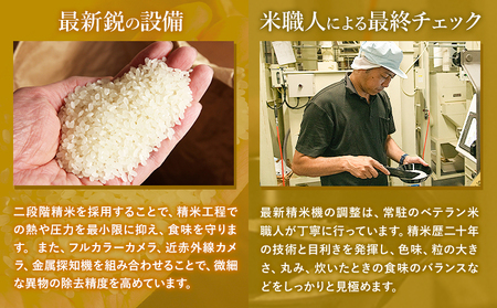 【12ヶ月定期便】無洗米 こしひかり 20kg《お申込み翌月から出荷》