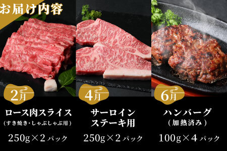 定期便限定部位が入った！全6回 段戸山高原牛 贅沢定期便 ロース サーロイン サーロインステーキ ハンバーグ すき焼き しゃぶしゃぶ サイコロステーキ ランプ モモ モモブロック 塊肉 ヒレ 希少部位 -331