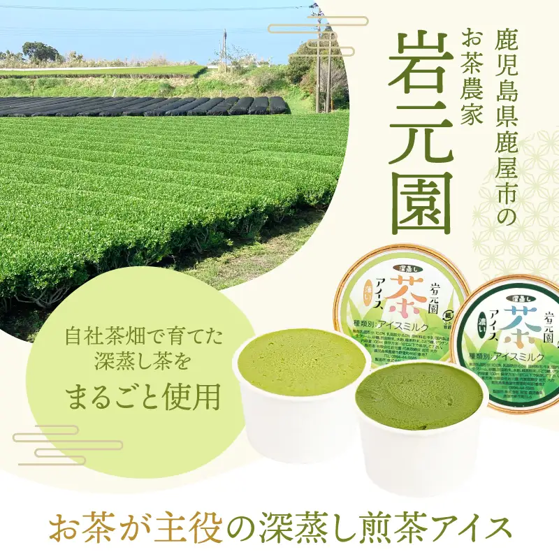 お茶 農家 の 深蒸し茶 アイス（ 濃・薄 各6個 計12個 ） KN166-001-02 菓子 茶