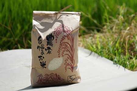 【期間限定】令和7年産 米 ひとめぼれ 5kg 