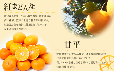 ＜紅まどんなと甘平ジュース 720ml×2本セット＞ 果汁100％ ストレートジュース みかん ミカン 果物 くだもの フルーツ 柑橘 紅マドンナ べにまどんな 甘平 特産品 マルワフルーツ園芸 宇都宮物産 愛媛県 西予市【常温】『1か月以内に順次出荷予定』UUB0072