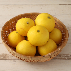 【先行予約】R8発送＜訳あり＞オレンジ園の小夏2.5kg 【R01499】