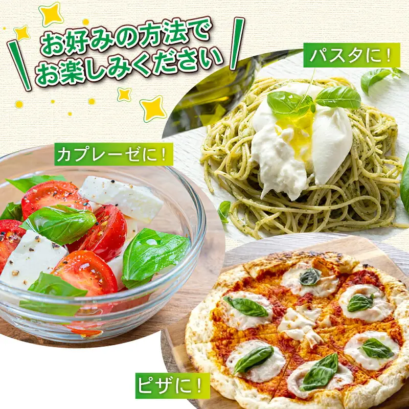 フレッシュ バジル 500g 本城ファーム ハーブ 生バジル ばじる はーぶ 香草 水耕栽培 野菜 やさい 美味しい 新鮮 イタリア料理 イタリアン パスタ ソース ジェノベーゼ マルゲリータ アレンジ いろいろ 農家直送 産地直送 数量限定 国産 愛媛 宇和島 F010-199001