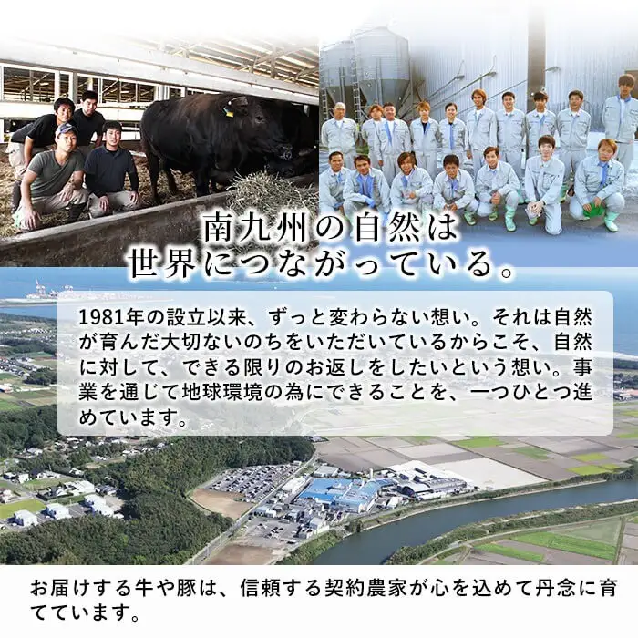 【工場直送 業務用】九州産豚バラスライス＜計8kg(400g×20P)＞ 肉 豚肉 豚バラ 豚バラ肉 スライス 冷凍 国産 九州産 小分け 真空パック c5-038