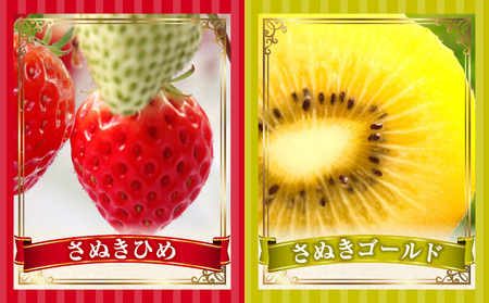 とれたて果物 4回定期便A |果物 フルーツ 果物定期便 フルーツ定期便 定期便 いちご キウイ デコポン濃厚 旬の果物 定期 人気 おすすめ 贈答 贈り物 青果物 糖度 香川県 |_mk165-t074