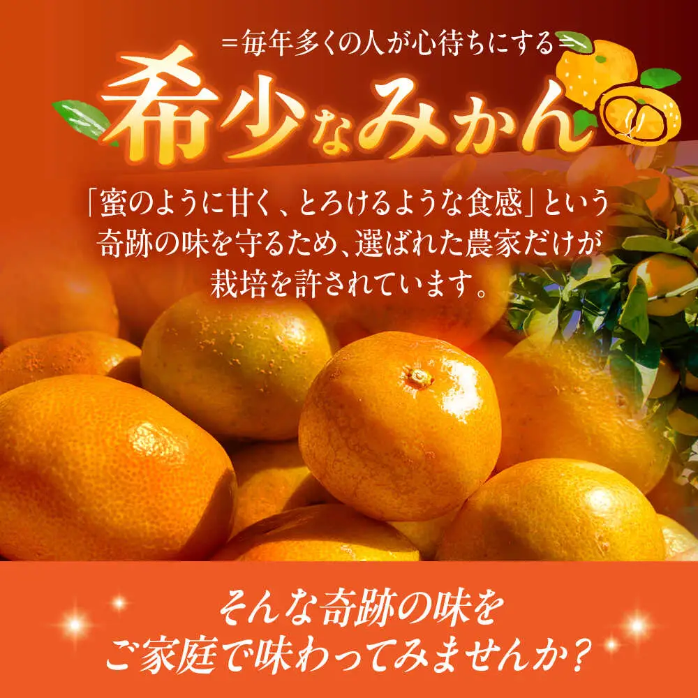 訳ありみかん 5kg 原口みかん [OBP002] 訳あり みかん