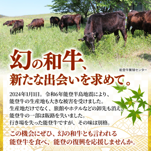 能登牛すじ肉 生 500g 能登牛 牛すじ肉