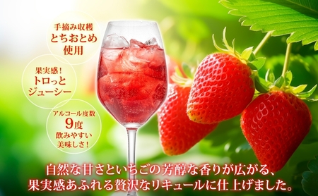 いちごのお酒太陽の物語とちおとめリキュールいちごのお酒【500ml×2本】