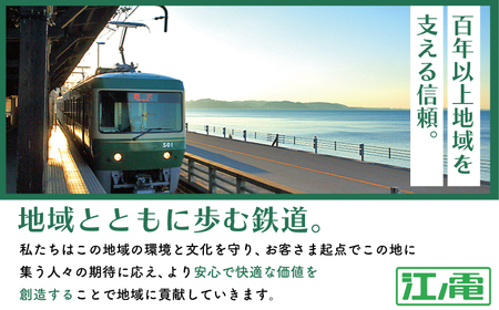 プラレール サウンド 江ノ電300形 電車 【 プラレール 】