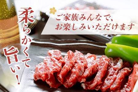 【桜屋】馬肉 焼肉用 500g (カット済) 本場 熊本県 馬焼き 専門店 馬刺し 馬肉 肉 赤身 焼き肉 バーベキュー アウトドア 050-0367
