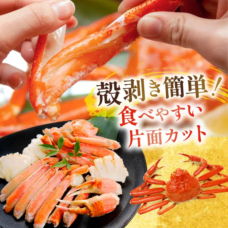 ずわいがに むき身セット 総重量1.5kg かに カニ 蟹   ◎