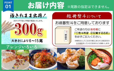 【期間限定】姫島産 活き車えび (養殖) 300g 常温配送 お歳暮ギフト 熨斗可 【宅配ボックス不可】 国産 海鮮 ギフト 刺身 焼き しゃぶしゃぶ A31