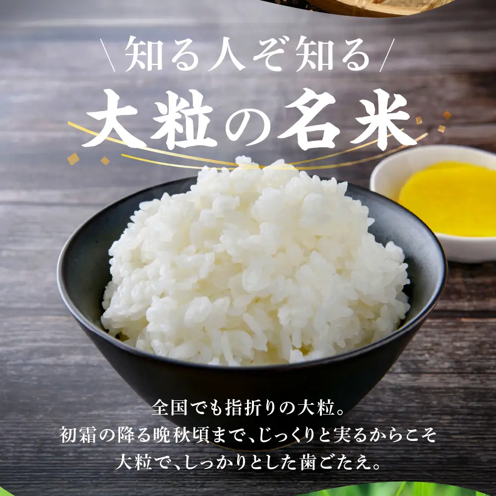 【令和7年度産】精米 定期便 ハツシモ 5kg｜ハツシモ