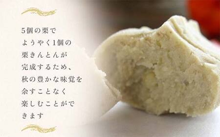 ＜御菓子司梅園＞ 栗きんとん12個(6個入×2箱) 【1月お届け】 栗きんとん 和菓子 菓子 スイーツ 秋 限定 詰め合わせ 冷蔵 岐阜県 F4N-3047