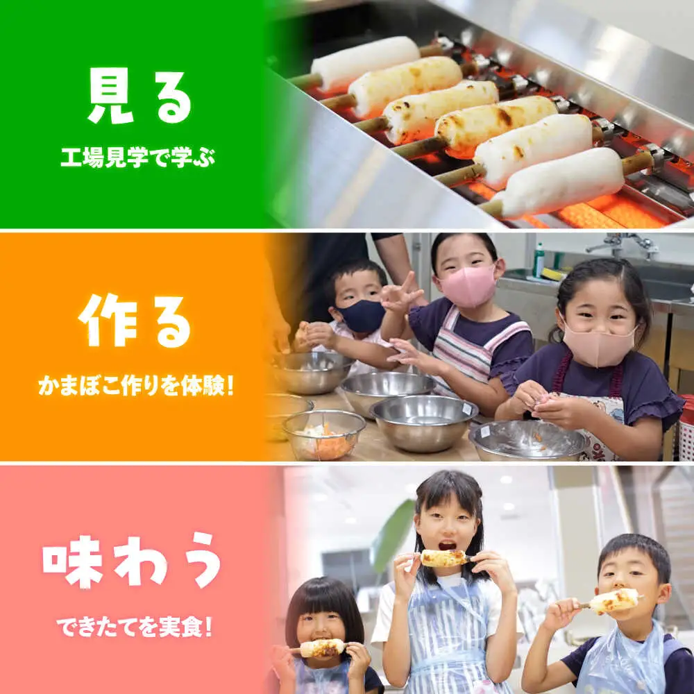 【Cコース】おいしい出来たて かまぼこ作り体験 / カマボコ 蒲鉾 練り物 焼きちくわ 揚かまぼこ 魚そうめん / 南島原市 / しきしま蒲鉾[SAR015]