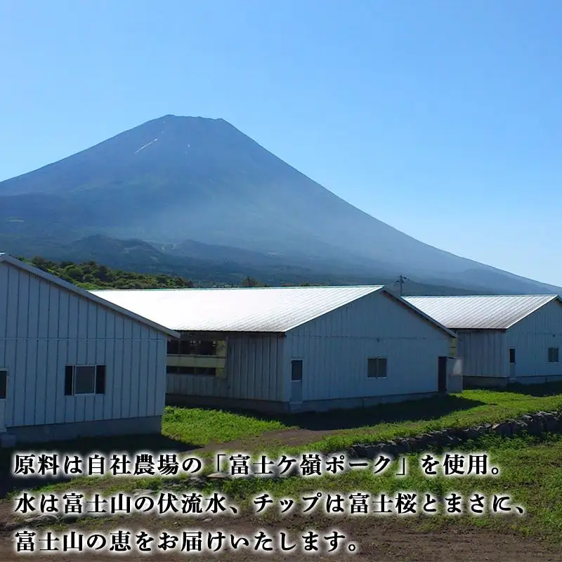 富士山セット【山中湖ハム金賞受賞ハム・ウィンナー詰合せ】| スピード配送 約7日でお届け 富士ヶ嶺 豚肉 ハム ウインナー ソーセージ 国産 山梨県産 グルメ BBQ バーベキュー ギフト 詰合せ 名産品