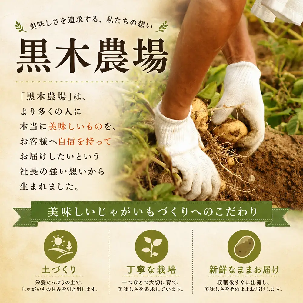 じゃがいも 【令和８年産予約受付】 北あかり10kg  じゃがいも 北海道 [010-214]