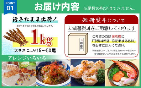 【期間限定】姫島産 活き車えび (養殖) 1kg 常温配送 お歳暮ギフト 熨斗可 【宅配ボックス不可】 国産 海鮮 ギフト 刺身 焼き しゃぶしゃぶ A33