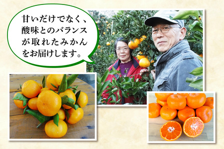 [2026年12月下旬頃から発送] 温州みかん 5kg [1292]