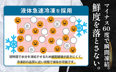 鹿児島県産 サバ 干物 (半身分1枚入り)×5パック ≪合計5枚≫ PT-5 | 開き 大隅干し 冷凍 国産 鯖 ごまさば ひもの 海鮮 新鮮 瞬間冷凍 産地直送 加工品 朝ご飯 おかず グルメ 鹿児島県 南大隅町 ピットスリー