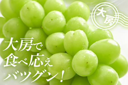 【2025年 先行予約】シャインマスカット大房 2房 大粒 皮ごと食べられる 葡萄 ぶどう 果物 グレープ 贈答用 家庭用 フルーツギフト スイーツ用 お取り寄せ 予約限定 産地直送 冷蔵 茨城県 石岡市(A38-001)
