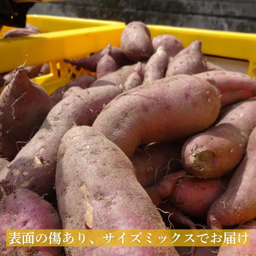 訳あり 熟成 紅はるか 10kg サイズミックス さつまいも 愛なんよ