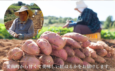 熟成 紅はるか 5kg M～2L さつまいも 愛なんよ
