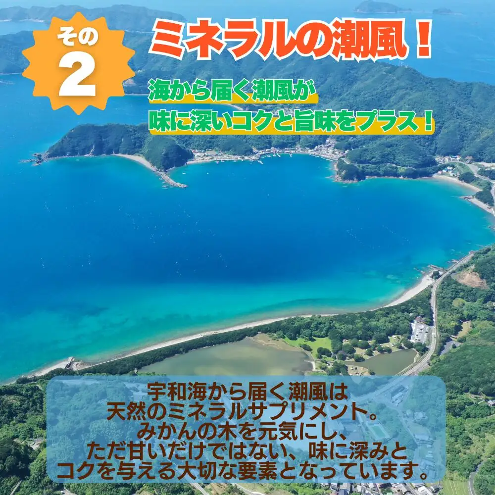 【先行予約】 訳あり 愛媛 みかん 5kg  みかん 愛なんよ