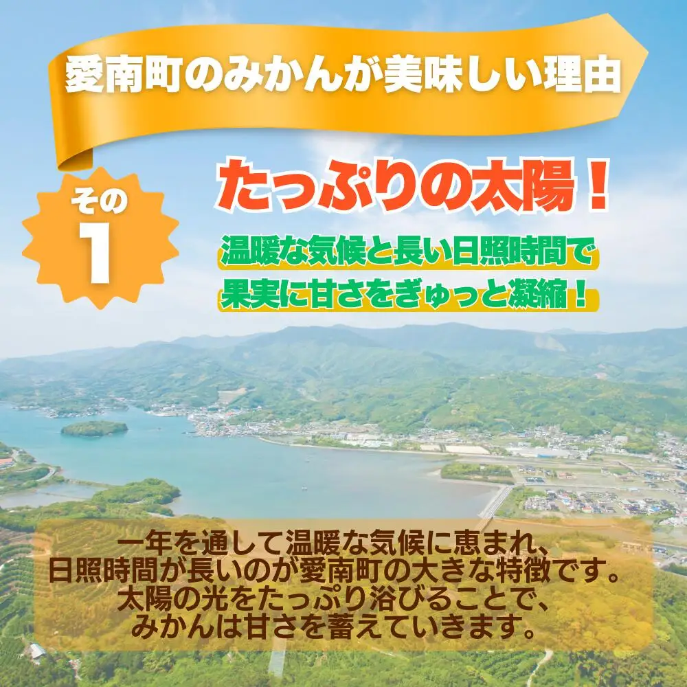【先行予約】 【愛媛みかん】 訳あり 3kg みかん 愛なんよ