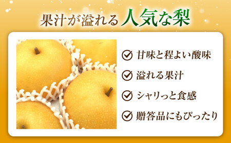 【先行予約】豊水梨 6-9玉入 BKAD049 梨
