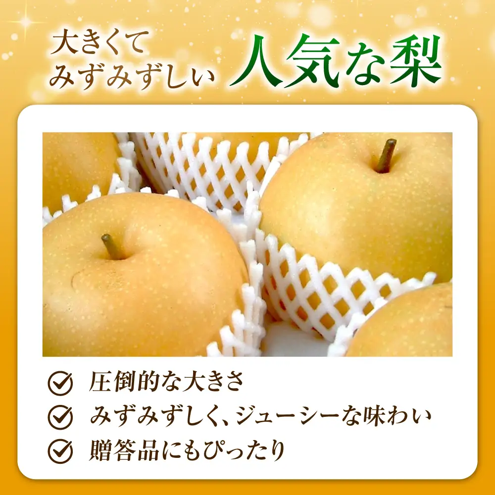 【先行予約】あきづき梨 6-9玉入 BKAD035 梨
