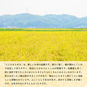 【9月から順次発送】新米 5kg にじのきらめき 令和8年産 コシヒカリ に匹敵 白米 ご飯 