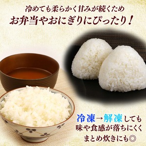 【白米】令和7年 彦根産 米 ミルキークィーン 5kg