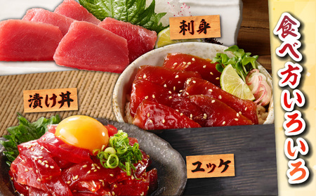 目鉢鮪 天身 1kg M081-010 冷凍 マグロ