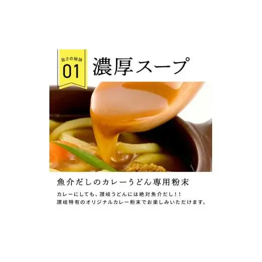 讃岐カレーうどんセット（24人前）_Z2600131