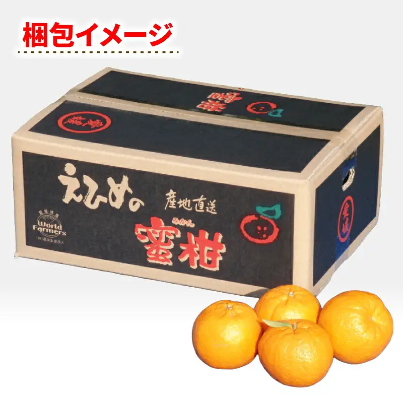 ぽんかん 5kg WF ぽんかん B010-024031