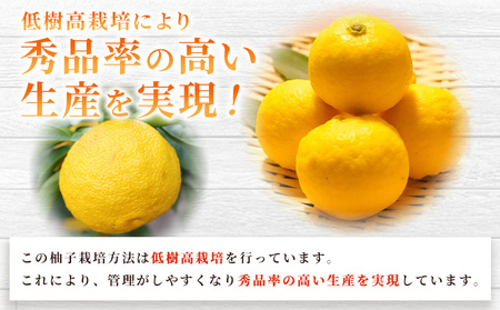 ＜柚子 良 Sサイズ (24個入り) × 3箱＞ 約6kg ゆず ユズ 国産 柑橘 かんきつ 低樹高栽培 おいしい 産地直送 黄柚子 薬味 柚子胡椒 国産柚子 フルーツ JAひがしうわ 東宇和農業協同組合 愛媛県 西予市【常温】『2025年10月下旬～12月上旬迄に順次出荷予定』UHU0006