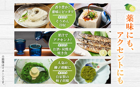 ＜青柚子 秀 (28～32個入り) 約2kg＞ 国産 青 柚子 ゆず ユズ 柑橘 かんきつ 低樹高栽培 おいしい 産地直送 ゆず玉 薬味 柚子胡椒 国産柚子 フルーツ 青ゆず 新鮮 JAひがしうわ 東宇和農業協同組合 愛媛県 西予市【冷蔵】『2025年9月より順次出荷予定』UHU0007