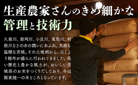 無洗米10kg《7-14日以内に出荷予定(土日祝除く)》おこめ