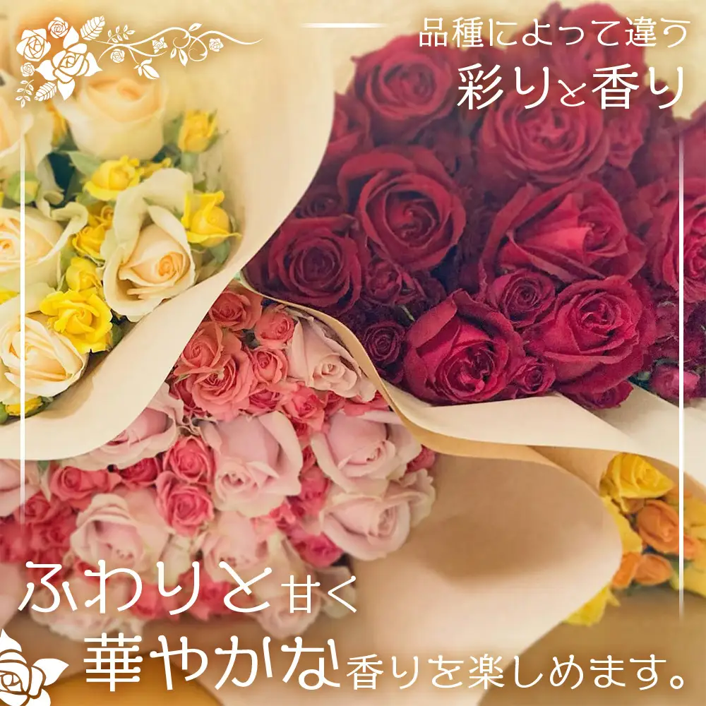 【日付指定必須・ギフト対応可】 夏季限定 ばら農家直送！バラ花束40本以上お届け(色はおまかせ) TB-8│ローズ 新鮮 花 フラワー 花束 ばら 薔薇 バラ 誕生日 記念日 結婚祝い ギフト プレゼント お祝い 贈り物 贈答 鹿児島県 南大隅町 富田バラ園