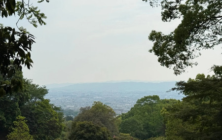 永代収蔵 納骨堂 寺山霊苑 奈良市営 公立 奈良県 奈良市 270-001