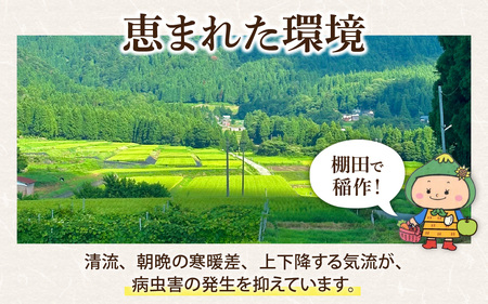 【6ヶ月定期便】【令和8年産 新米】【福井県大野市】さかだに棚田清流米！(コシヒカリ)5kg×6回　計30kg「今話題の、あのバンドのロケ地！」