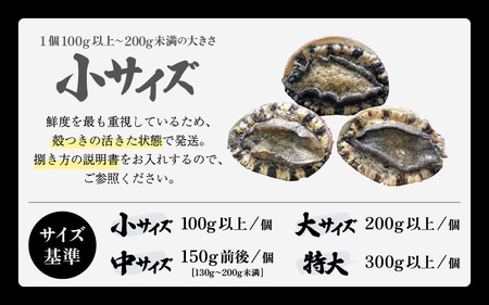 【先行予約】天然 黒あわび 計400g (2～4個) 小サイズ 【2027年3月より順次発送予定】 鮮度抜群 黒あわび  [m17-d005_03]