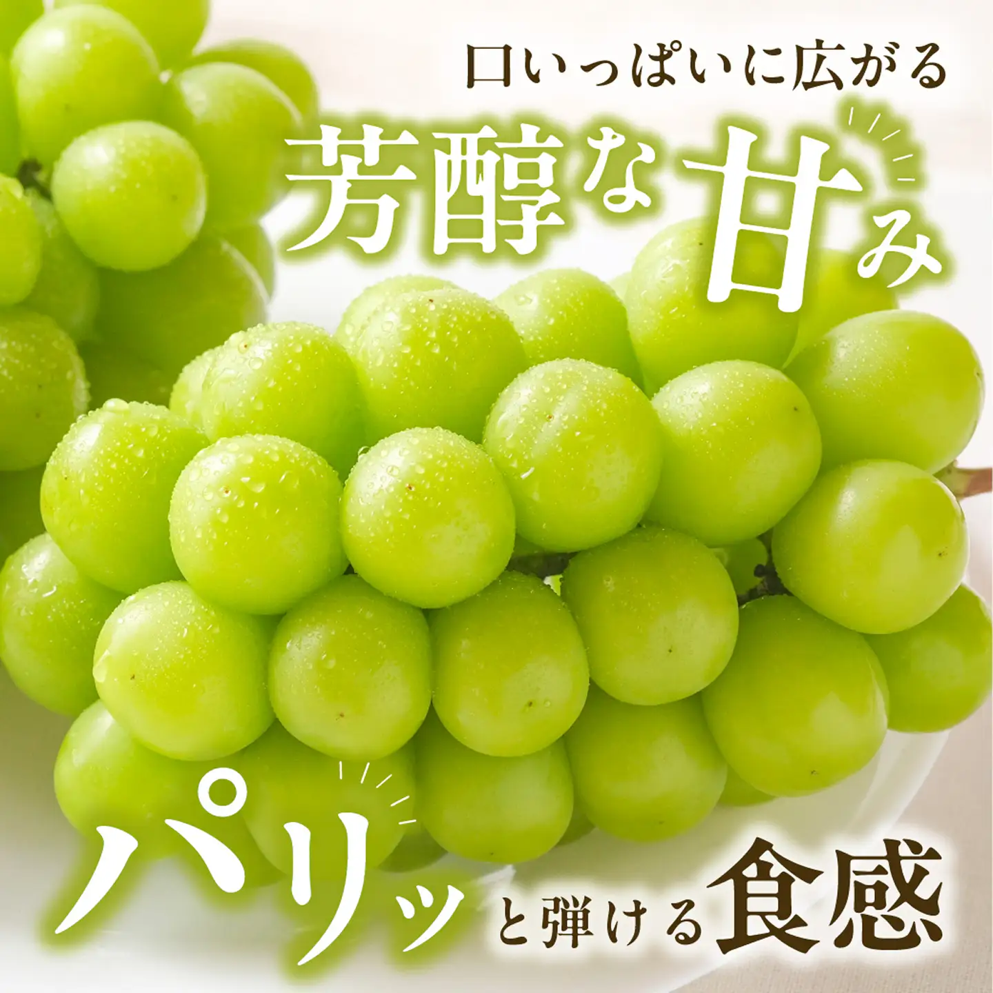 【2026年発送分　先行受付開始！】びぜん葡萄「シャインマスカット」（ハウス栽培）約2kg入（令和8年8月中旬～9月中旬頃発送）【葡萄 シャインマスカット】
