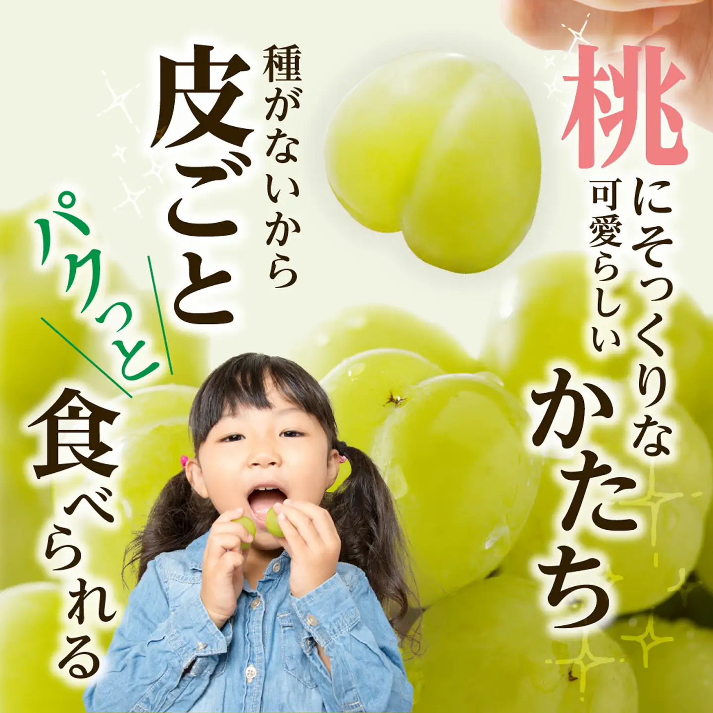 【2026年発送分　先行受付開始！】びぜん葡萄「桃太郎ぶどう」（露地栽培）1房入×4箱セット（令和8年9月上旬～10月中旬頃発送）【葡萄 桃太郎ぶどう】