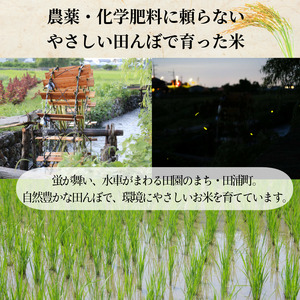 米 コシヒカリ 5kg 天皇献上米 (栽培期間中）化学肥料・農薬不使用米 令和7年産 