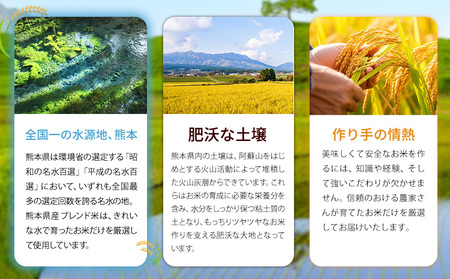 肥後清流米 白米 20kg ブレンド米《7-14日以内に出荷予定(土日祝除く)》熊本 支援