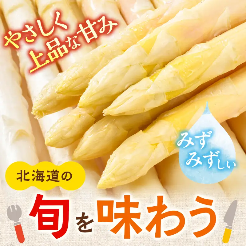 【先行予約】令和9年産 ホワイトアスパラガス（2Lサイズ） 1kg アスパラ 野菜 やさい ふるさと 納税 国産 北海道産 北海道 下川町 F4G-0353